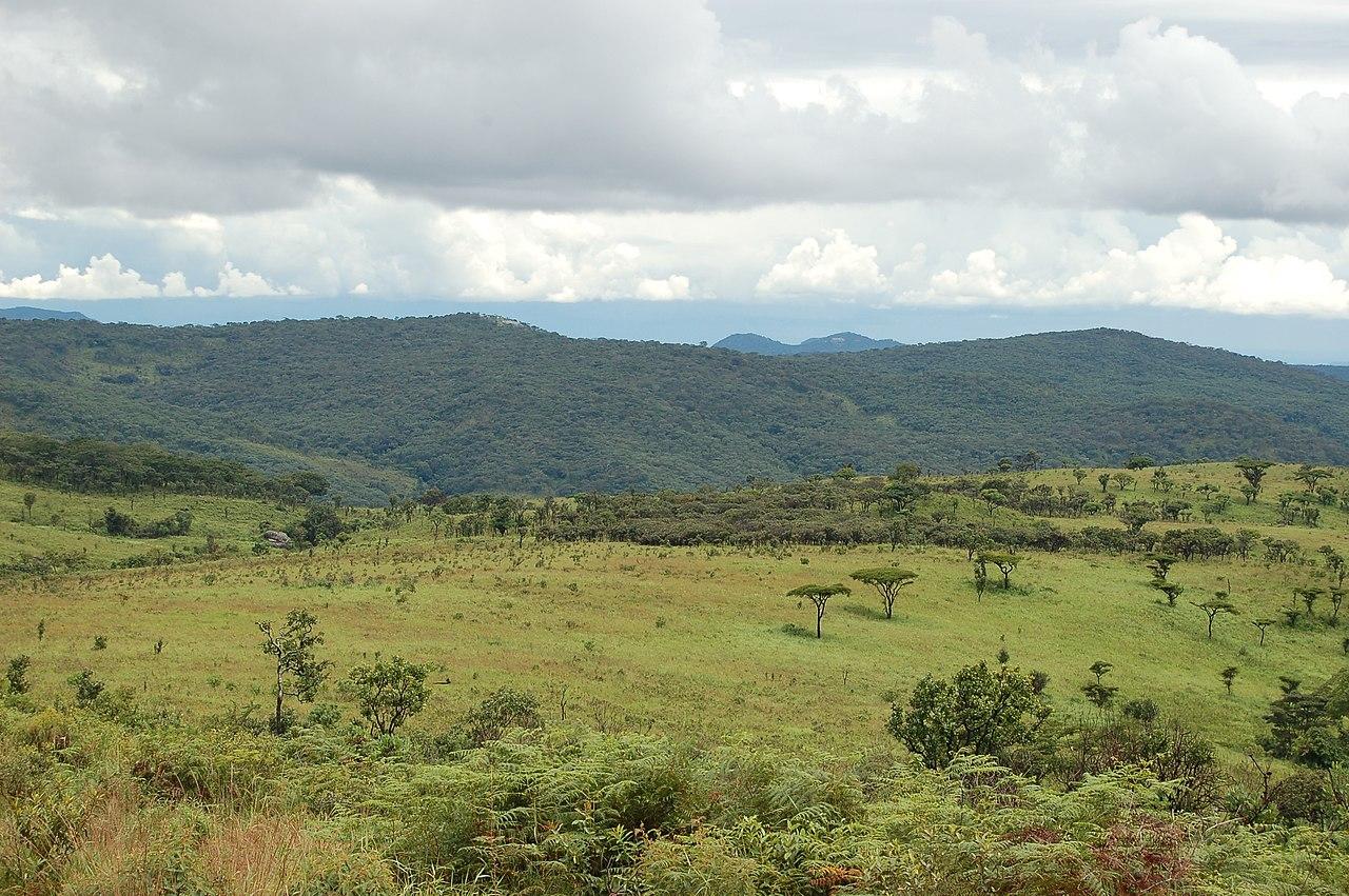 Northern Region, Malawi